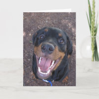 Happy Rottweiler Puppy Father's Day Card