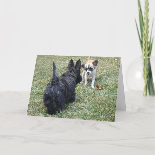 Happy Scottish Terrier & Friend Card (Front)