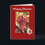 Happy Shavuot-Red Grapes/Star of David Holiday Card<br><div class="desc">This pretty red card features beautiful red grapes,  and a Star of David celebrating the Jewish holiday of Shavuot!  Inside can be personalised to say what you wish. Image is public domain with permission from http://www.public-domain-image.com/</div>
