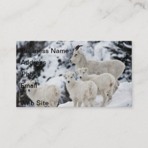Happy Sheep Family Business Card