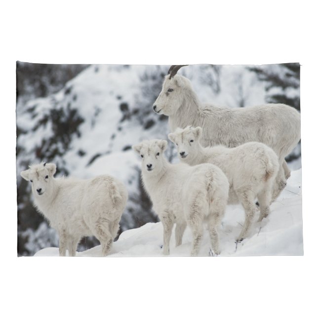 Happy Sheep Family Pillowcase (Back-Right)