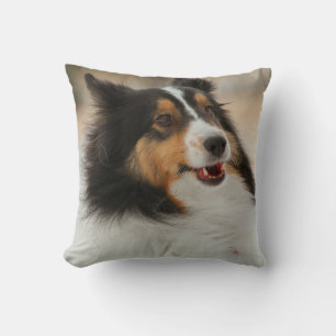 Happy Shelty Cushion