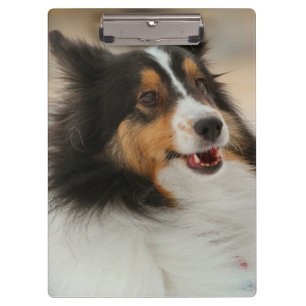 Happy Shelty Notebook Clipboard