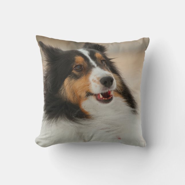Happy Shelty Pillow (Front)