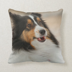 Happy Shelty Pillow