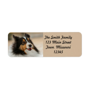 Happy Shelty Return Address Label