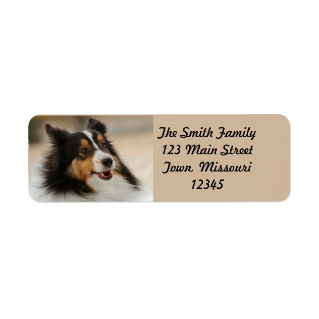 Happy Shelty Return Address Label (Front)
