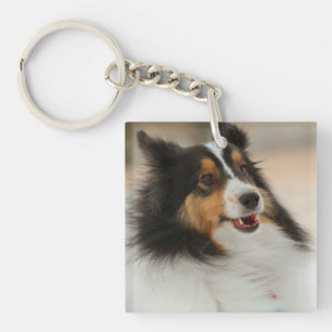 Happy Shelty   Soccer Ball Key Ring