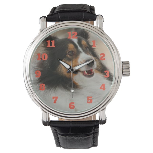 Happy shelty watch (Front)