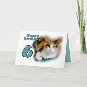 Happy Sixth Birthday Calico Cat Card