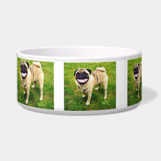 HAPPY SMILE DOG HAPPY TO EAT MY FOOD BOWL