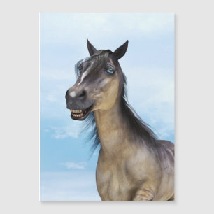 Happy Smiling Grulla Horse