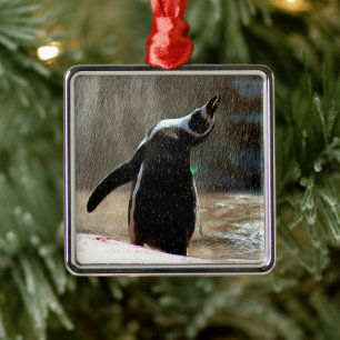 Happy Splashing Penguin Framed Metal Christmas Ornament