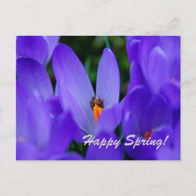 Happy Spring Card (Front)