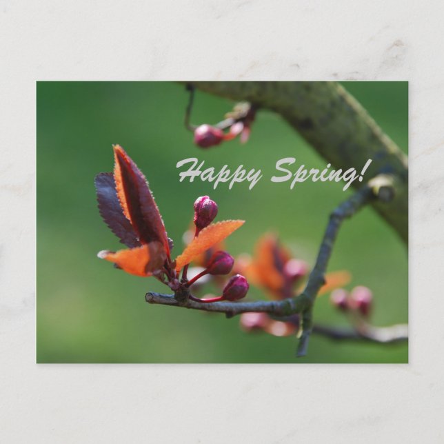 Happy Spring Card (Front)