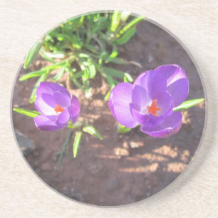 Happy Spring Coaster