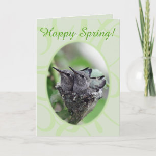 Happy Spring   Hummingbirds in Nest Photo   Holiday Card