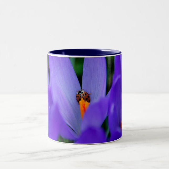 Happy Spring Mug (Center)