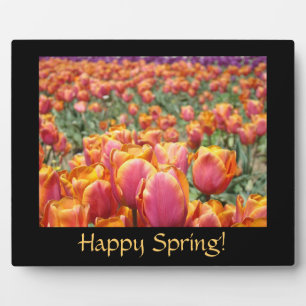 Happy Spring! Plaque Counter sign Tulip Flowers