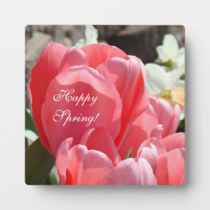 Happy Spring! plaques Pink Tulips Flowers signs