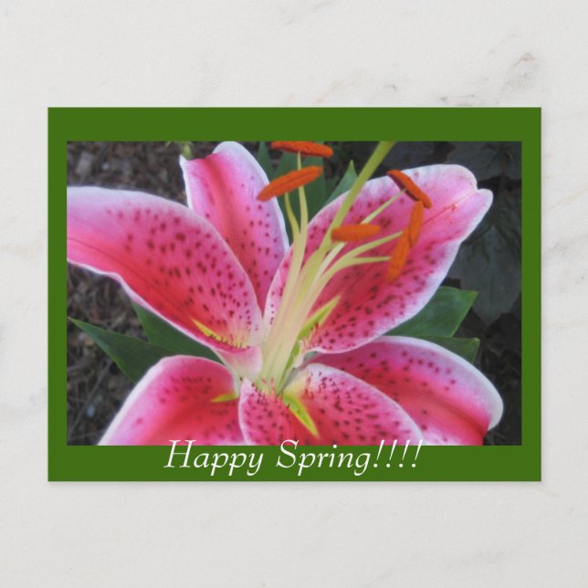Happy Spring!!Postcard Postcard (Front)