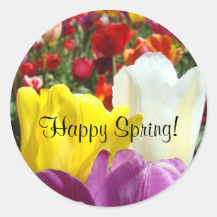 Happy Spring! stickers Colourful Tulip Flowers