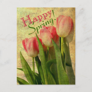 Happy Spring Tulips Postcards