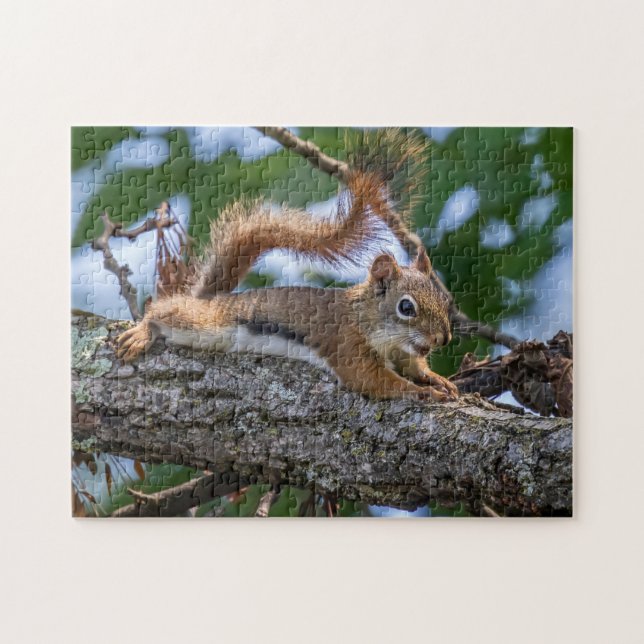 Happy Squirrel Jigsaw Puzzle (Horizontal)