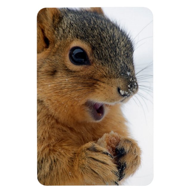 Happy Squirrel Magnet (Vertical)