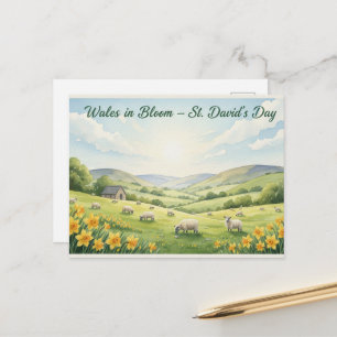 Happy St. David's Day Postcard