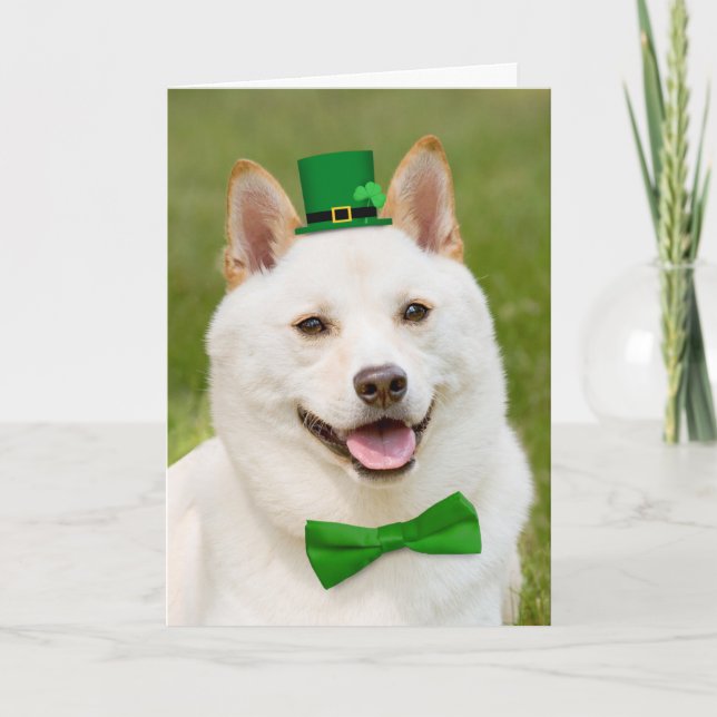 Happy St Patrick's Day Anyone Shiba Inu Dog Holiday Card (Front)