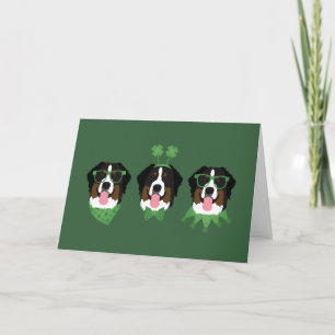 Happy St Patricks Day Bernese Mountain Dogs Holiday Card