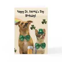 Happy St. Patrick's Day Birthday Chihuahua dogs