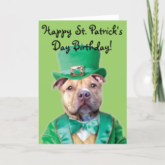 Happy St. Patrick's Day Birthday Pitbull card