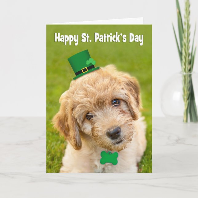 Happy St. Patrick's Day Cute Labradoodle iDog in Holiday Card (Front)
