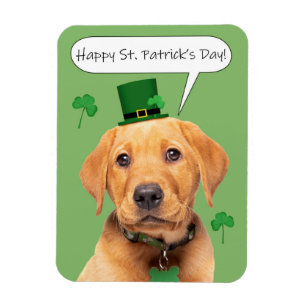 Happy St Patrick's Day Cute Labrador Puppy Magnet