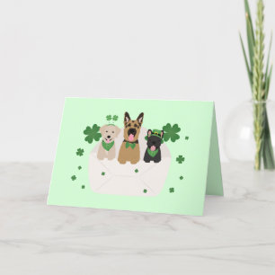 Happy St Patricks Day Dog Mail Holiday Card