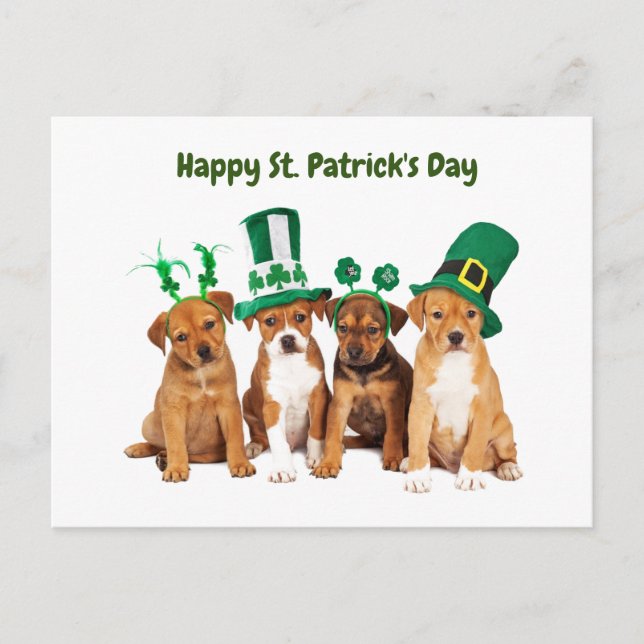 Happy St. Patrick's Day dogs Holiday Postcard (Front)