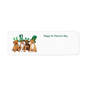 Happy St. Patrick's Day Dogs postcard Return Address Label