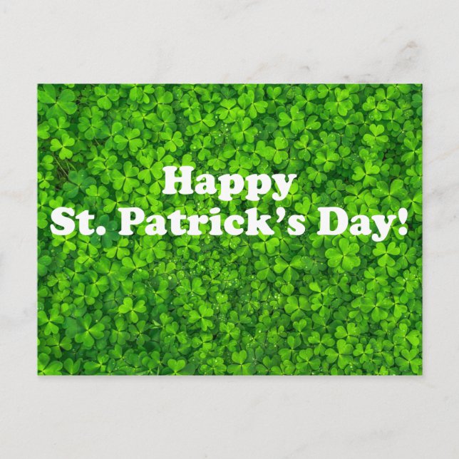 Happy St. Patrick's Day! Field of Clover Postcard (Front)