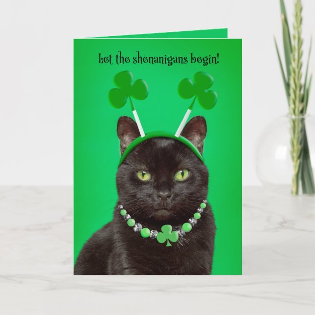 Happy St Patricks Day For Anyone Black Cat Humour Holiday Card (Front)