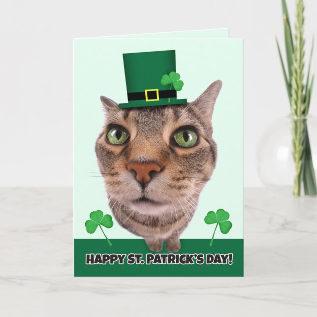 Happy St. Patrick's Day For Anyone Cat Humour Holiday Card (Front)