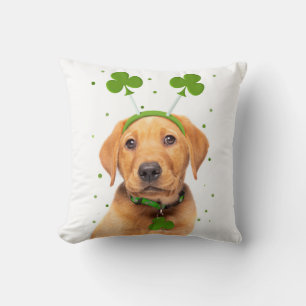 Happy St Patricks Day For Anyone Dog in Headband Cushion