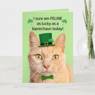 Happy St Patricks Day Friend Cute Cat Leprechaun Holiday Card