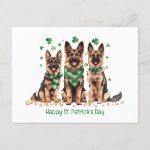 Happy St. Patrick's Day German Shepherd Dogs Holiday Postcard