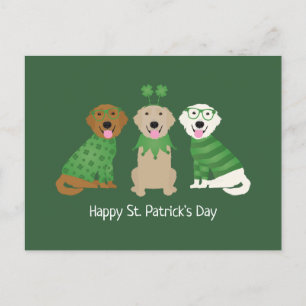 Happy St Patricks Day Golden Retriever Dogs Postcard