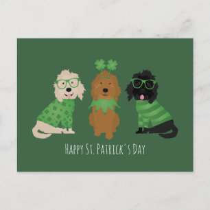 Happy St Patricks Day Goldendoodle Dogs Postcard