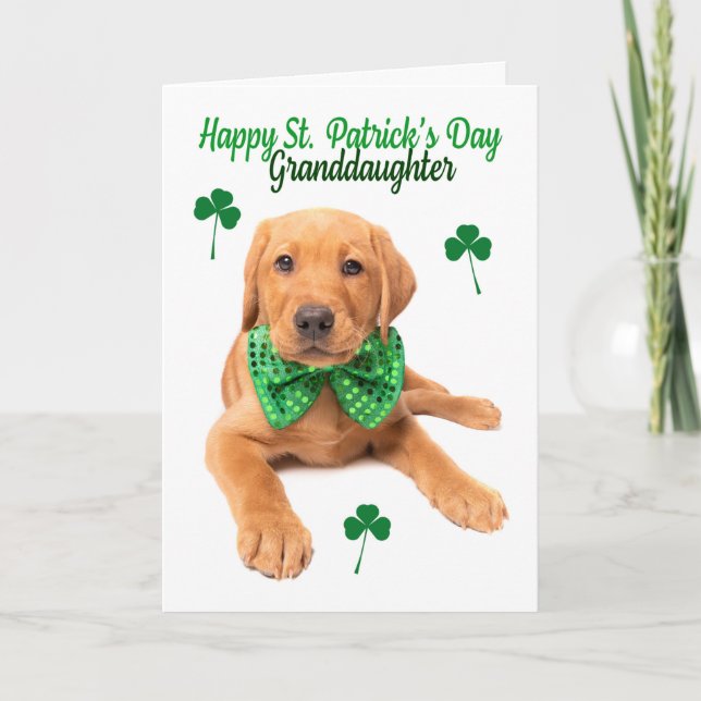 Happy St Patrick's Day Granddaughter Lab Puppy Holiday Card (Front)