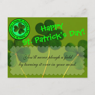 Happy St. Patrick's Day Greeting Wishes Postcard