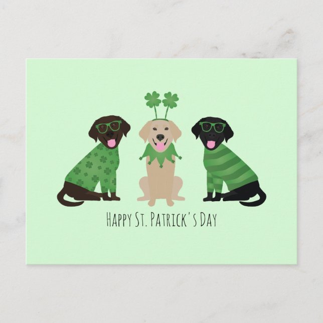 Happy St Patricks Day Labrador Retriever Dogs Postcard (Front)